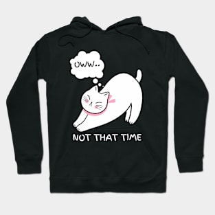 oww....Not That Time Lazy Cute Cat Hoodie